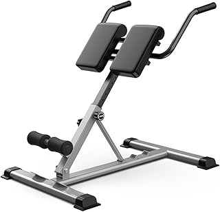 Roman Chair,Adjustable Weight Bench Abdominal Trainers for Home Gym Outdoor,Foldable Weightlifting Bed Sports Stretching Stool Strength Training Back Machines,Max Weight 330Lbs (Color : Gray) (Gray)