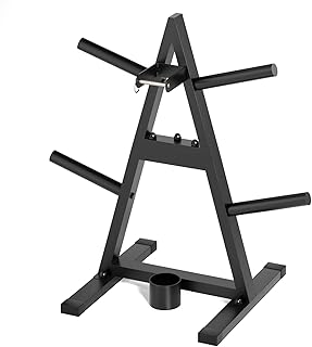 A-Frame Weight Plate Tree for 1" Olympic Plates - Holds 300 lbs, Dumbbell Rack and Home Gym Storage Stand - Organize Your Workout Area