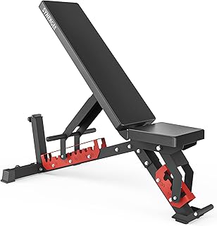 Synergee Adjustable Wing Back Workout Bench. Weight Bench for Dumbbell & Barbell Press Exercises & Workouts. Great for Commercial, Garage and Home Gym.