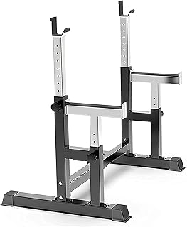 Multi-Function Weight Lifting Home Gym Fitness Professional Barbell Rack Stand Adjustable Dumbbell Squat Rack Stand Bench Press Rack Dipping Station Weight Bench Home Gym 300kg Max Load