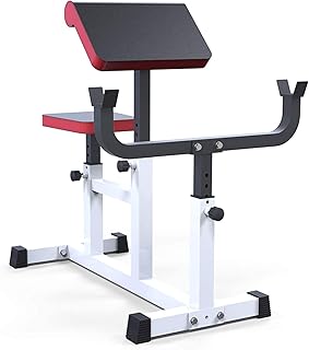 Fitness Equipment Professional sports Weight Bench Roman Chair, Adjustable Back Hyperextension Bench with Seat Pad, Preacher Arm Curl Isolated Barbell Dumbbell Rack Biceps Station forHome Gym
