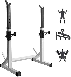 Multi-Function Squat Rack Adjustable Weight Bench Support Max Load 300Kg Bench Press Barbell/Dumbbell Lifting Frame Home Gym Dipping Station