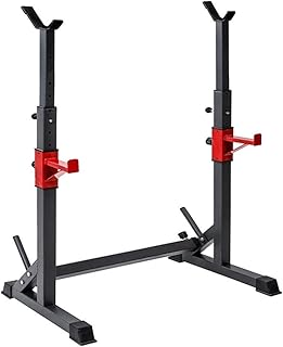Auxiliary Fitness Dumbbell Bench Adjustable Squat Rack Barbell Rack, Multi-Function Press Bench Home Gym Dumbbell Racks Stands Dipping Station Weight Lifting Rack Gym Family Fitness