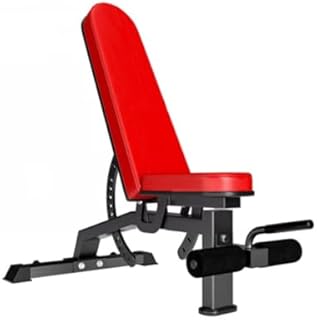 Weight Bench Foldable,Home Exercise Gym Equipment,Professional Bench Press Ab Board,Backrest Adjustable in 13 Positions