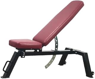 Foldable Dumbbell Weight Chair, Multi Purpose Training Bench with Adjustable Backrest, Sit Up Exercise Equipment
