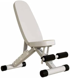 Dumbbell Exercise Chair, Folding Compact Gym Bench with 8-Position Adjustable Backrest, 300kg Weight Capacity for Home Workout