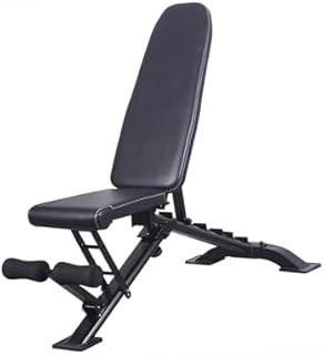 Folding Adjustable Dumbbell Bench,Home Exercise Gym Equipment,Thickened Padding and Sturdy Structure,200kg Weight Capacity