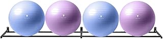 Balls Home Schools Display Rack for Therapy Stability Ball Balance Medicine Balls Athletic Equipment Organize, Gym Garage