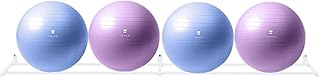 Indoor Balls Display Stand Wall Mounted Exercise Ball Holder for Medicine Therapy Stability Barre Ball Balance Balls Equipment Organize(White,Width 245cm/96.4")