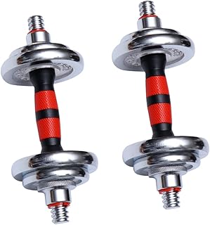 Vaguelly 10kg Electroplated Dumbbell Pair for Men, Home Fitness Strength Training Equipment, Solid Metal Weight Set for Gym Workouts and Muscle Building